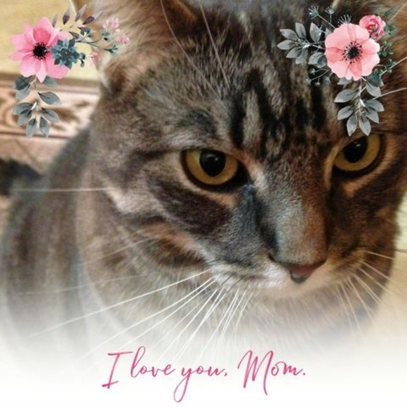 Meet your Posher, Katherine - Picture 1 of 1